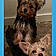 Libbey And Bandit
