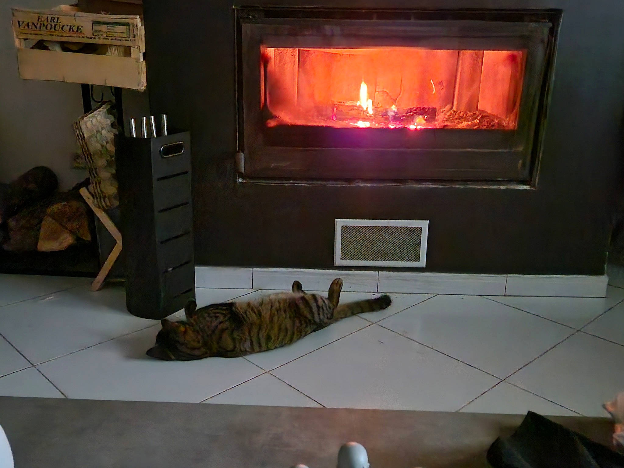 Simba a rejoint le concours — aidez-le/la à gagner de superbes lots ! black, comfort, display_device, event, felidae, fire, fireplace, flame, flooring, gas, hardwood, hearth, heat, living_room, plant, room, studio_couch, television_set, wood, wood_burning_stove