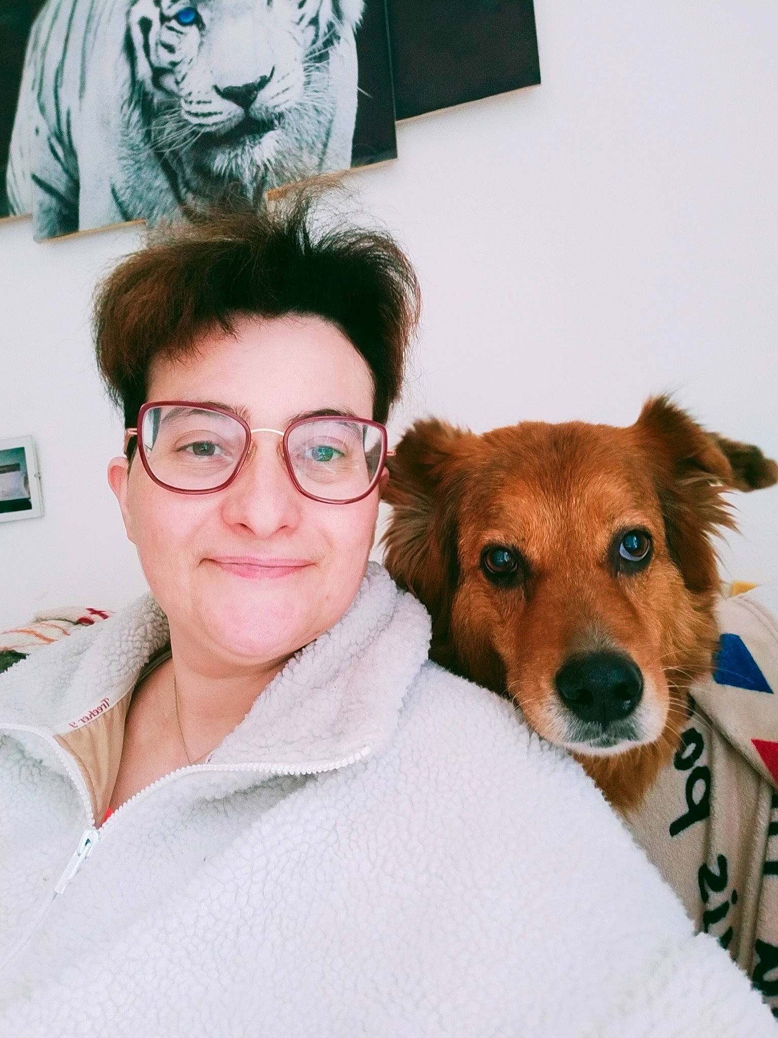 Prune a rejoint le concours — aidez-le/la à gagner de superbes lots ! art, carnivore, companion_dog, cool, dog, dog_breed, eyewear, fawn, fur, glasses, happy, mammal, mouth, nose, organ, smile, snout, vertebrate, vision_care, whiskers