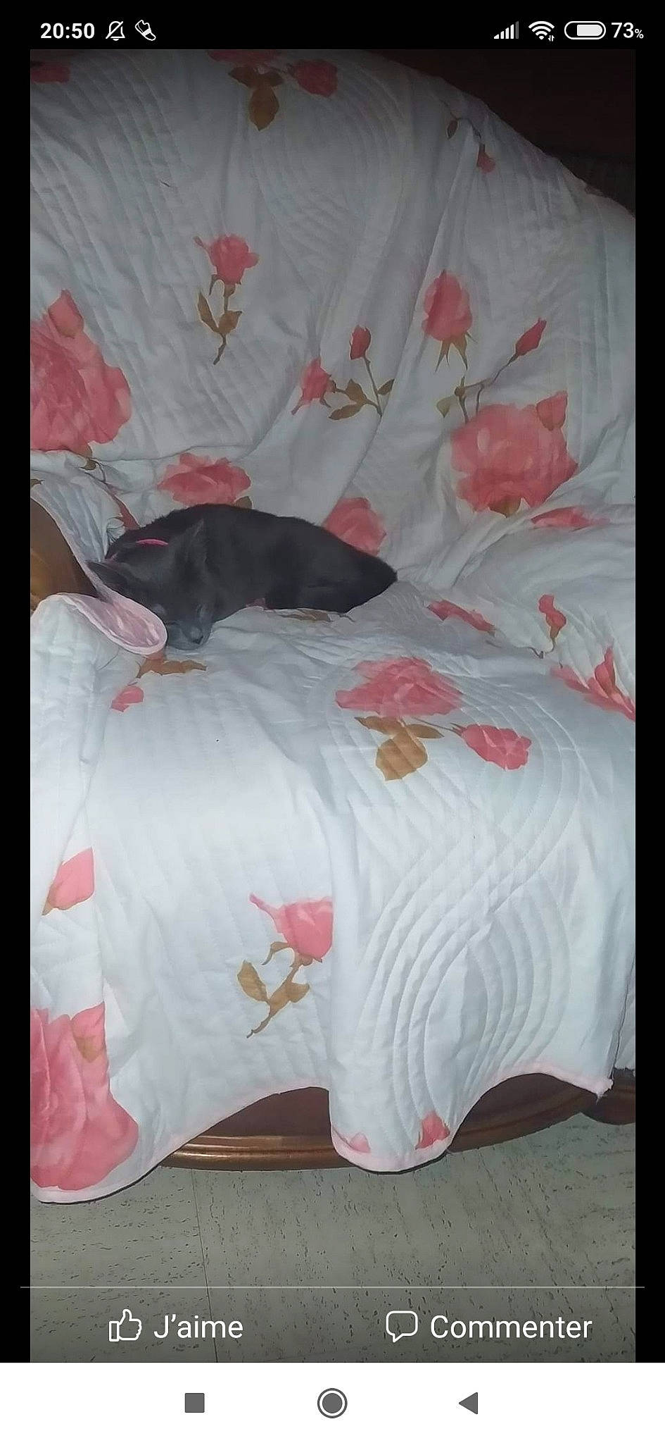 Princesse a rejoint le concours — aidez-le/la à gagner de superbes lots ! baby_products, bed, bed_frame, bed_sheet, bedding, bedroom, carnivore, comfort, duvet, felidae, linens, magenta, mattress, pattern, pillow, pink, rectangle, small_to_medium_sized_cats, throw_pillow, tints_and_shades