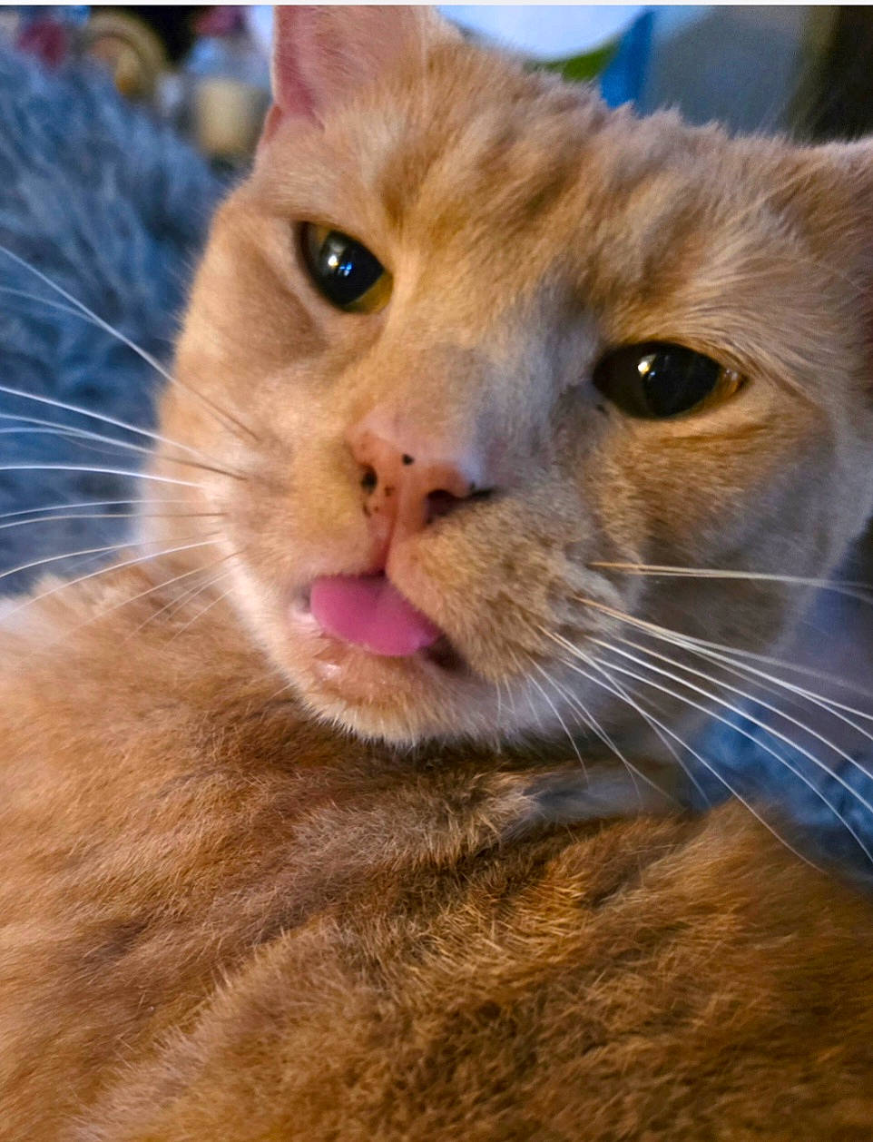 Scar