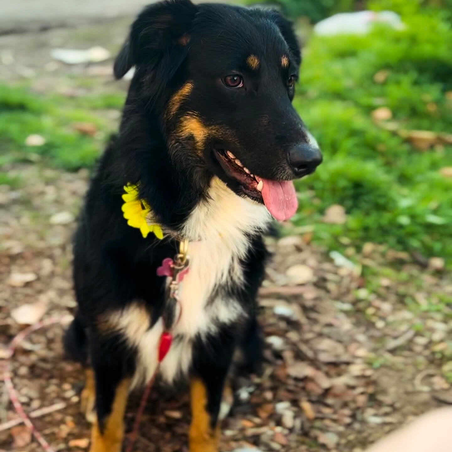 Luna