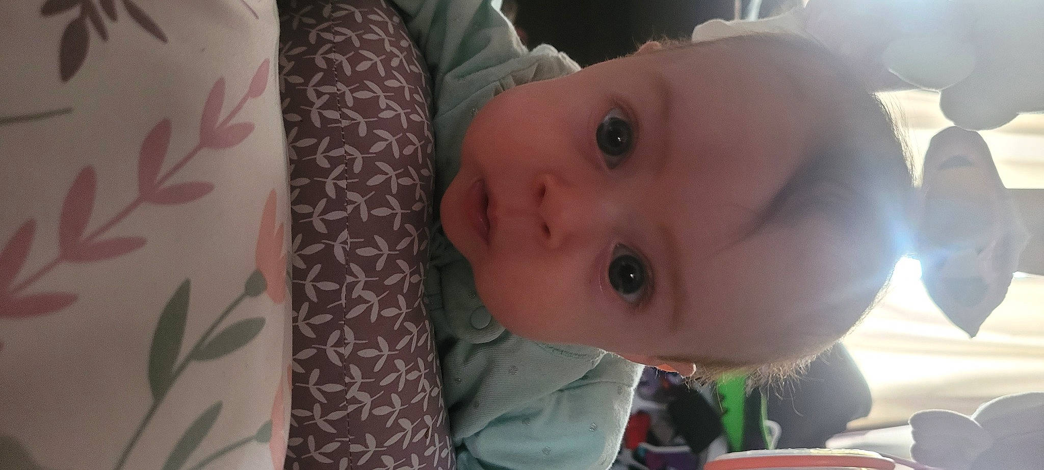 Samara joined the competition — help win amazing prizes! baby, cheek, chin, dress, ear, eye, eyebrow, eyelash, face, happy, human_body, iris, lip, mouth, neck, nose, person, plant, skin, smile