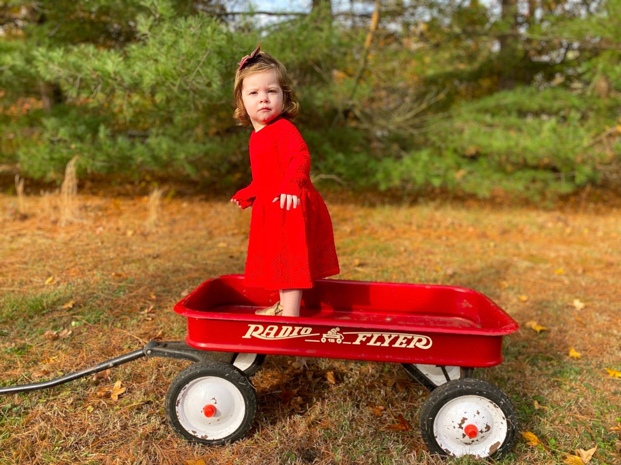 Brooklynn is registered to the contest to win money with this photo: automotive_wheel_system, child, fun, grass, happy, leisure, people_in_nature, person, plant, recreation, rolling, soil, tire, toddler, toy, tree, vehicle, wheel, wheelbarrow, window