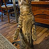 cat, tabby, pet, animal, standing, upright, funny, portrait, whiskers, ears, striped_fur, brown_fur, indoor, dining_room, wooden_floor, wooden_furniture, table, chairs, rug, curious