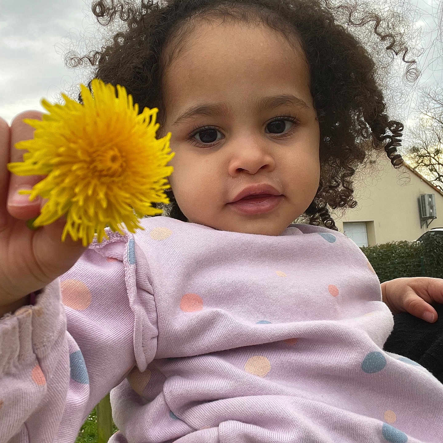 Dianaë