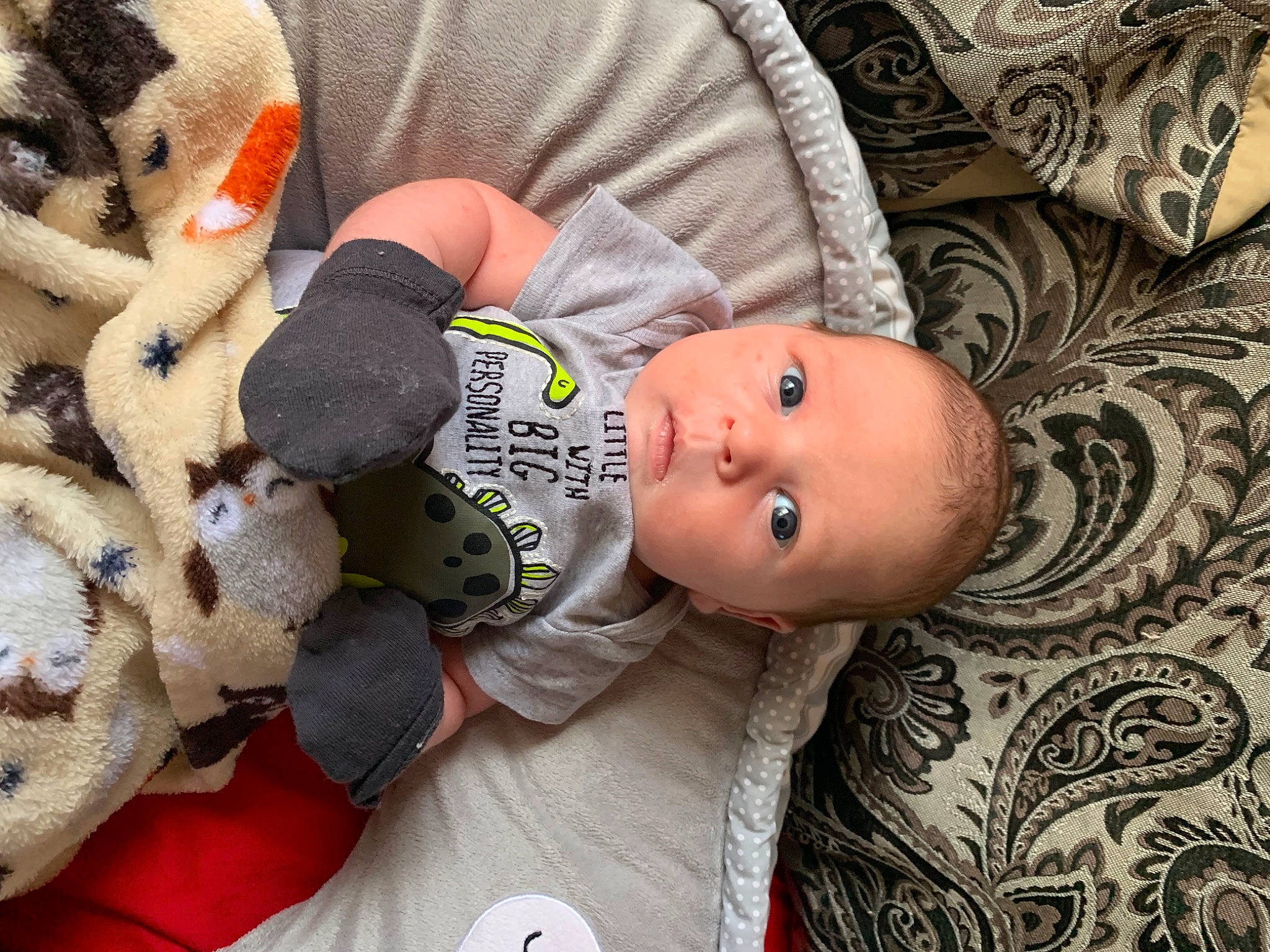 Randy joined the competition — help win amazing prizes! baby, baby_products, baby_safety, baby_sleeping, baby_toddler_clothing, cheek, child, comfort, eye, fur, linens, mammal, pattern, person, room, skin, textile, toddler, toy, vertebrate