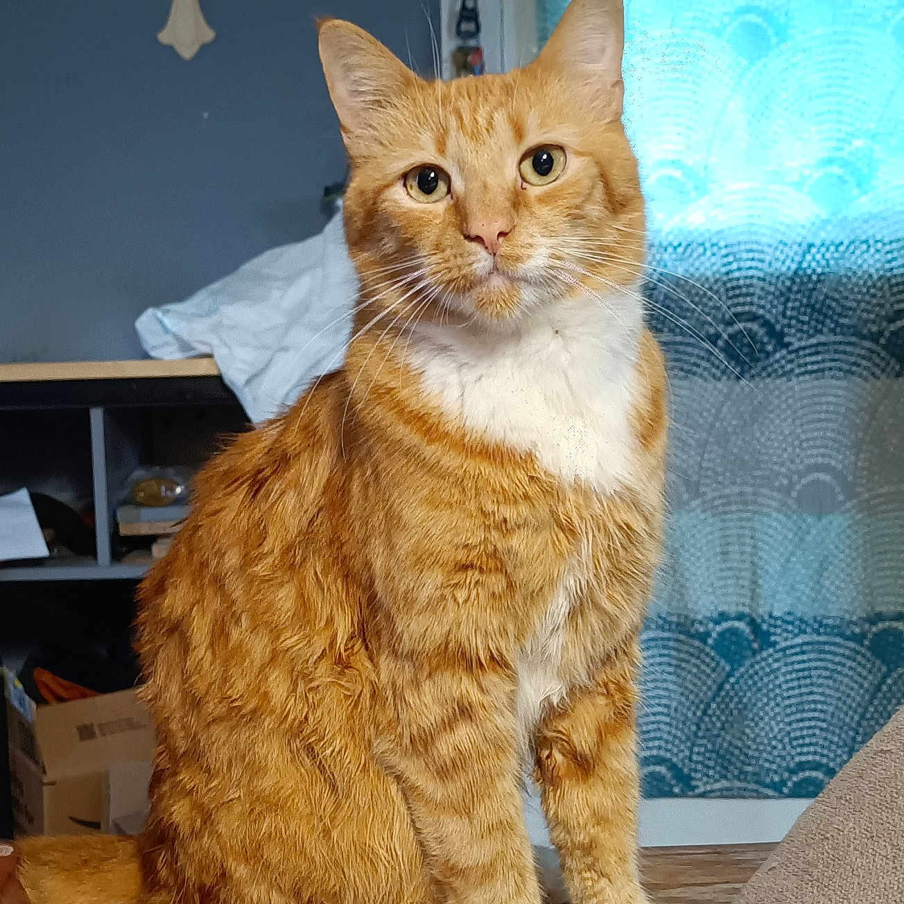 Rusty