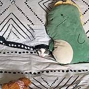 Flocon participe au concours pour gagner de l'argent avec cette photo : bed, black, blanket, brown, cat, cozy, curious, cute, dinosaur_plush, eyes, fabric, green, indoor, pattern, peeking, plush_toy, resting, soft_toy, teddy_bear, white