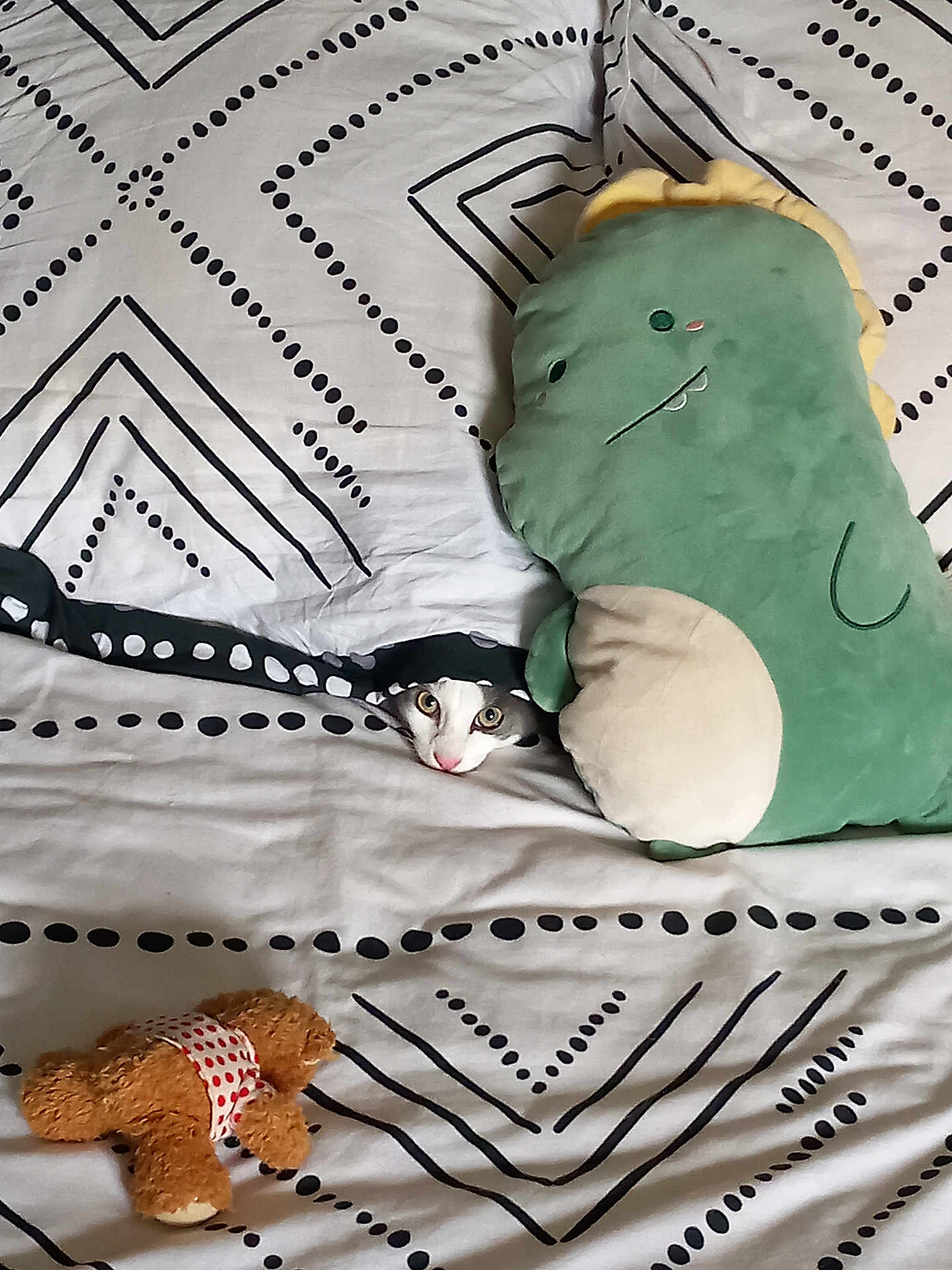 Flocon participe au concours pour gagner de l'argent avec cette photo : bed, black, blanket, brown, cat, cozy, curious, cute, dinosaur_plush, eyes, fabric, green, indoor, pattern, peeking, plush_toy, resting, soft_toy, teddy_bear, white