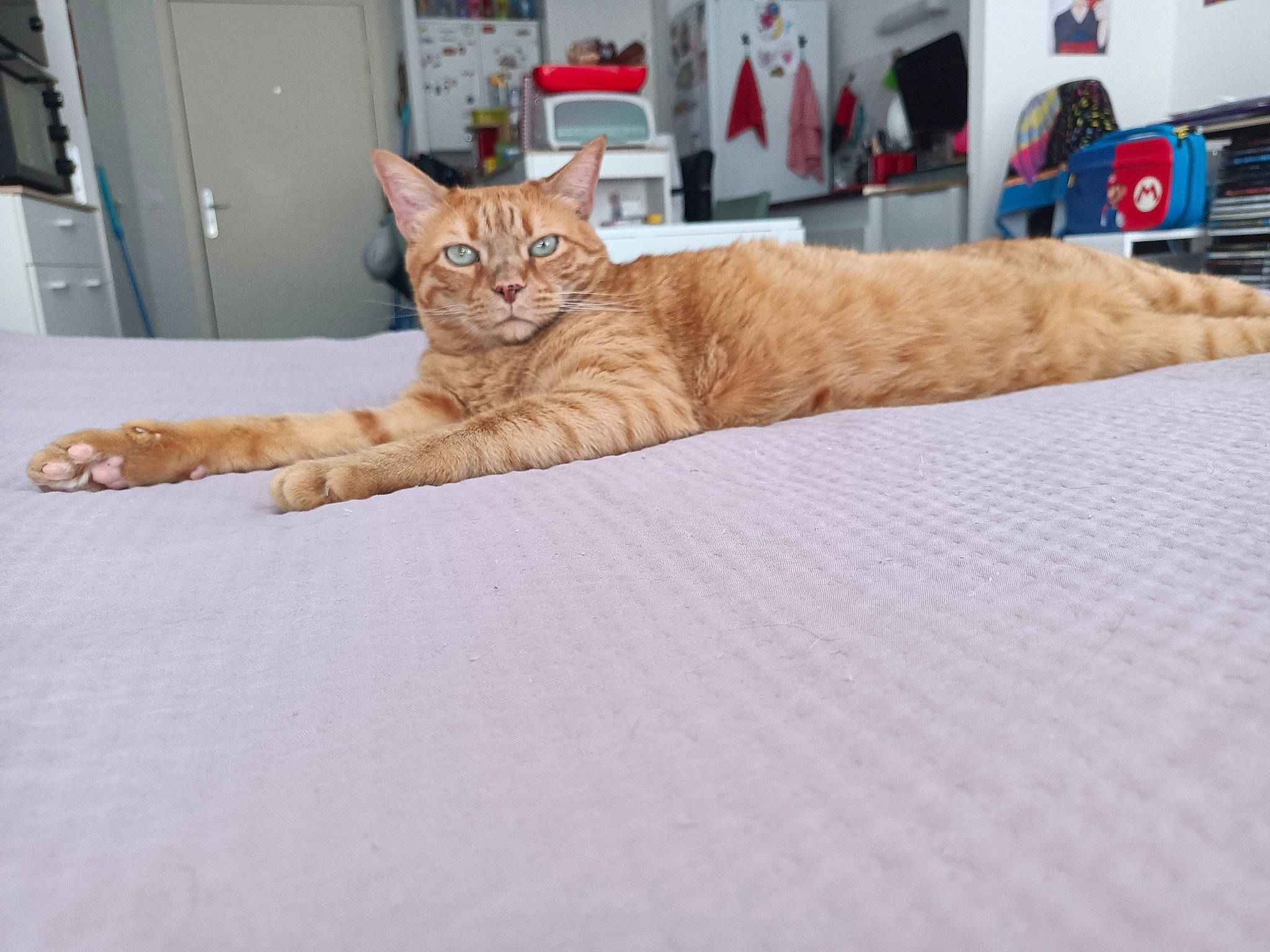 Oliver
