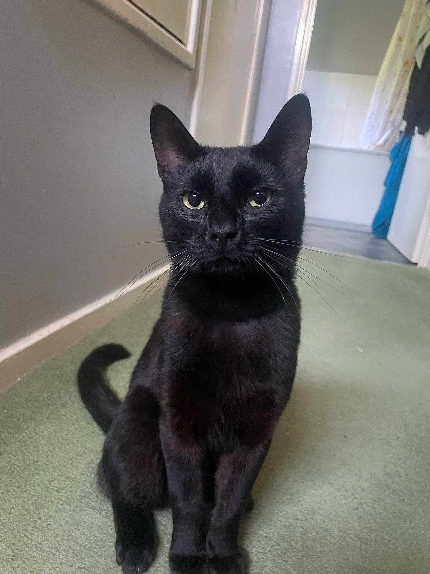 Onyx