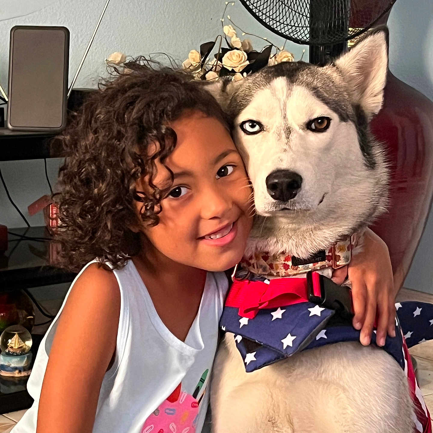 Bella is registered to the contest to win money with this photo: affection, blue_harness, casual_clothing, child, closeup, curly_hair, dog, face, fan, floor, flower_arrangement, heterochromia, hugs, indoor, pet, red_harness, siberian_husky, smiling, stars, white_wall