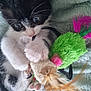 Bounty participe au concours pour gagner de l'argent avec cette photo : animal, black_and_white, cat, claws, close_up, curious, cute, feline, fuzzy_toy, green, indoor, kitten, paws, pet, pink, playing, soft_blanket, toy, whiskers, young