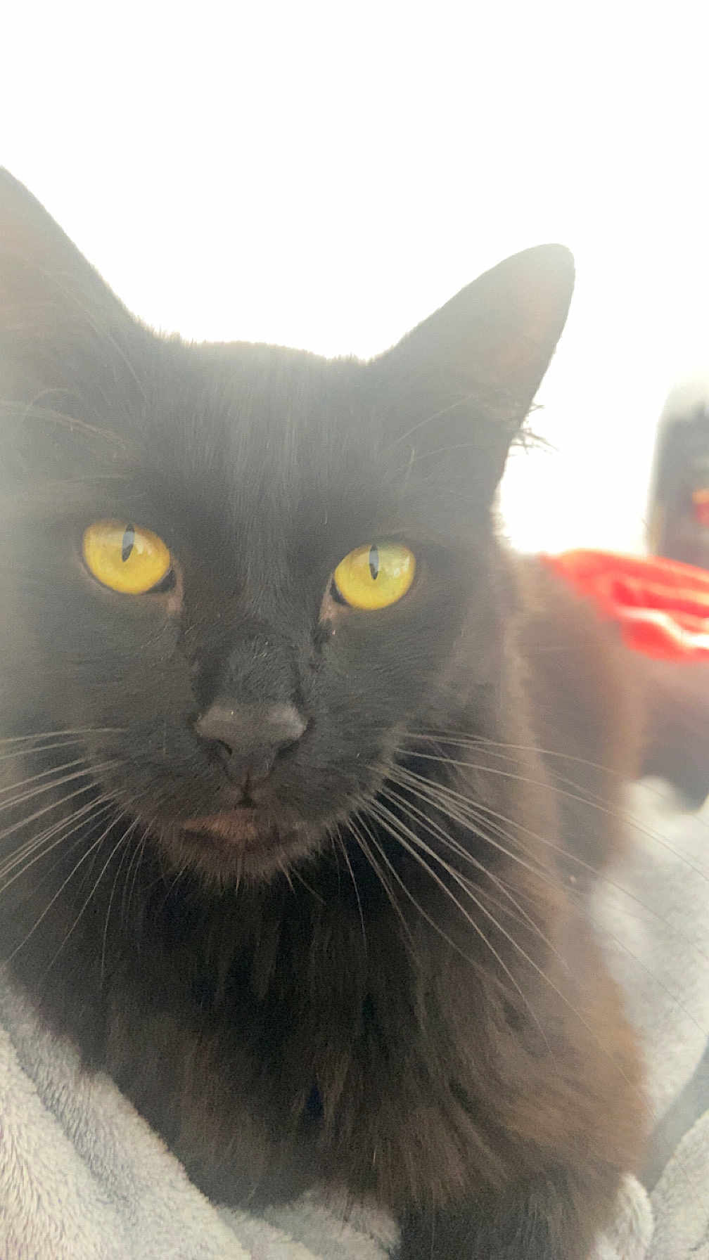 Mystère