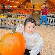 Ashmeet is registered to the contest to win money with this photo: adult, boy, child, clothing, face, female, food, head, jeans, male, pants, person, photography, plant, portrait, produce, pumpkin, squash, vegetable, woman