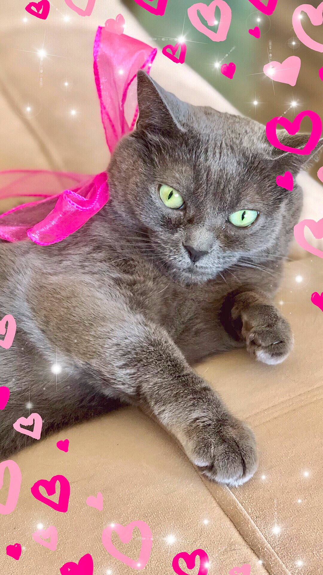 Figaro