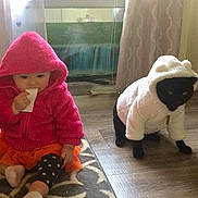 Rallo joined the competition — help win amazing prizes! baby, cap, child, companion_dog, dog_breed, flooring, fur, grass, mammal, pink, plush, sitting, sleeve, stuffed_toy, tail, terrestrial_animal, toddler, toy, vertebrate, working_animal