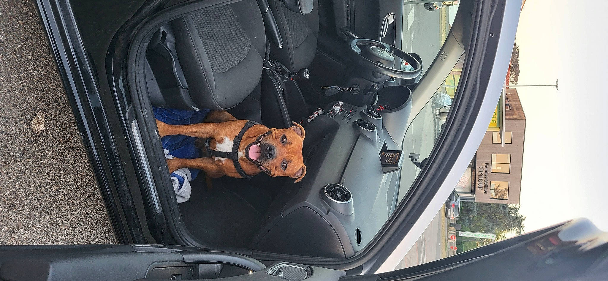 Tio a rejoint le concours — aidez-le/la à gagner de superbes lots ! auto_part, automotive_design, automotive_exterior, automotive_lighting, automotive_mirror, automotive_tire, automotive_wheel_system, bumper, car, gear_shift, hood, mode_of_transport, motor_vehicle, personal_luxury_car, plant, steering_part, steering_wheel, vehicle, vehicle_door, wheel