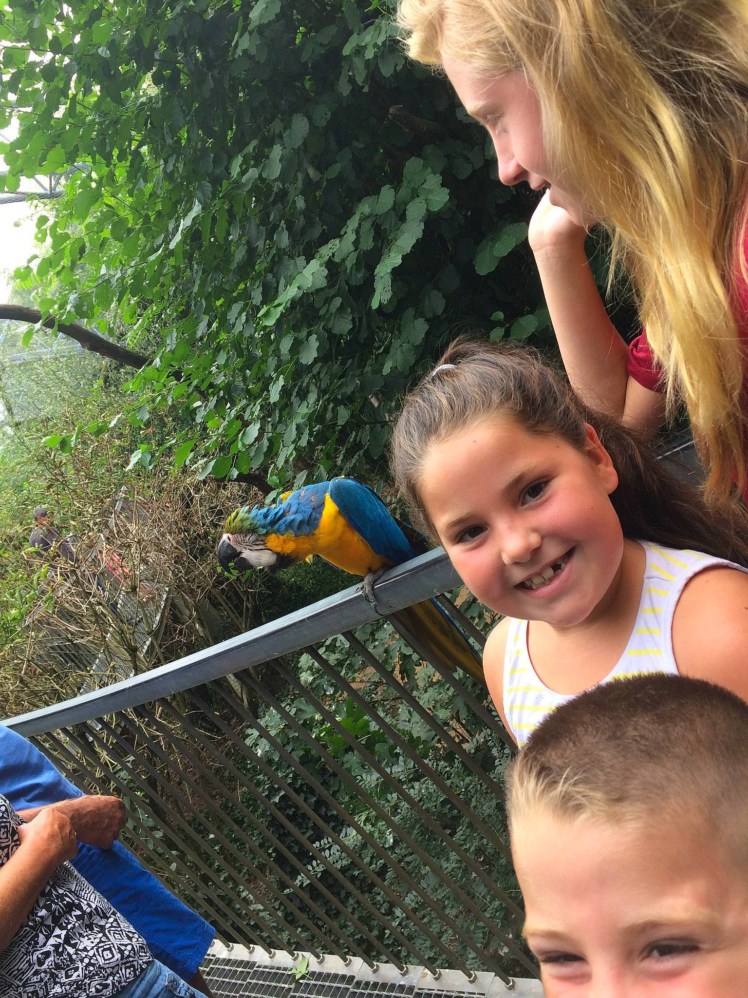 Kelya a rejoint le concours — aidez-le/la à gagner de superbes lots ! child, fun, joy, leisure, person, photography, smile, summer, tree, vacation