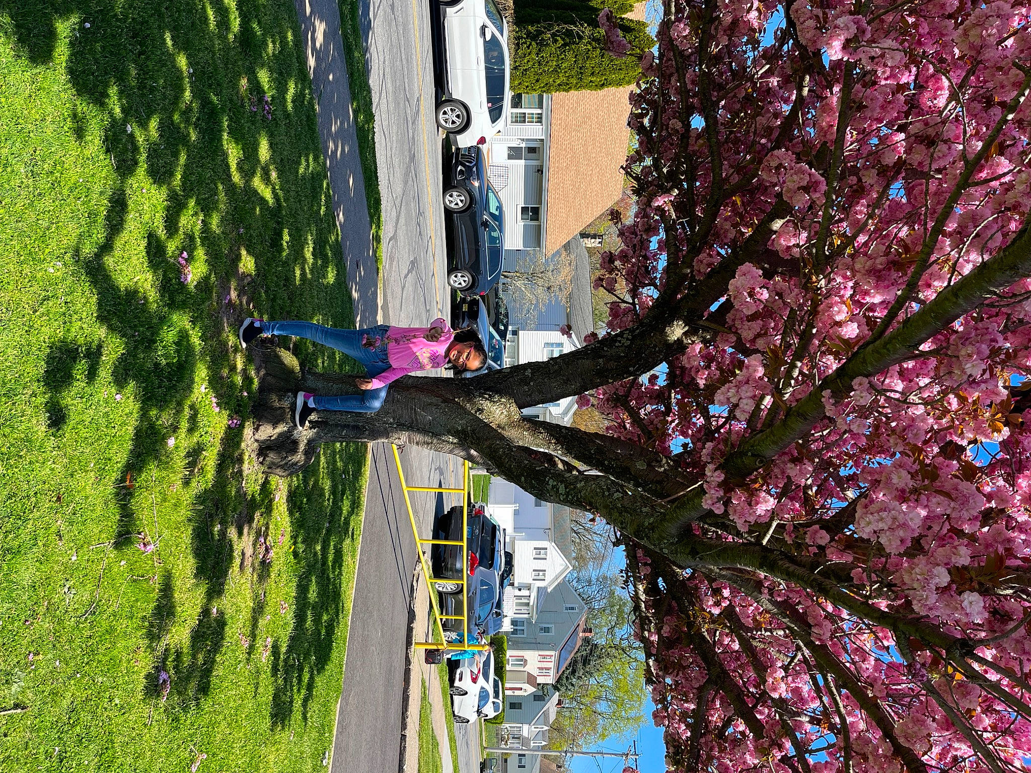 Khadijah is registered to the contest to win money with this photo: art, blossom, building, city, flower, flowering_plant, joy, landscape, leisure, magenta, person, petal, plant, pole, sky, spring, street, tree, trunk, twig