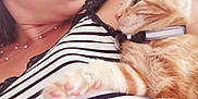 Astus a rejoint le concours — aidez-le/la à gagner de superbes lots ! affection, casual, cat, closeup, collar, couch, cute, face, fur, indoor, light, necklace, orange_tabby, paw, pet, portrait, relaxing, striped_shirt, sunbeam, woman