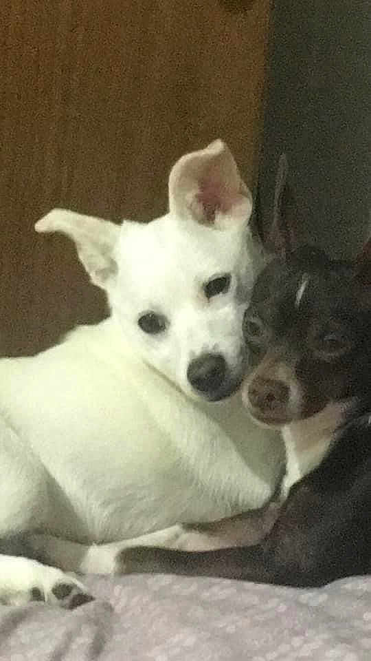 Rico