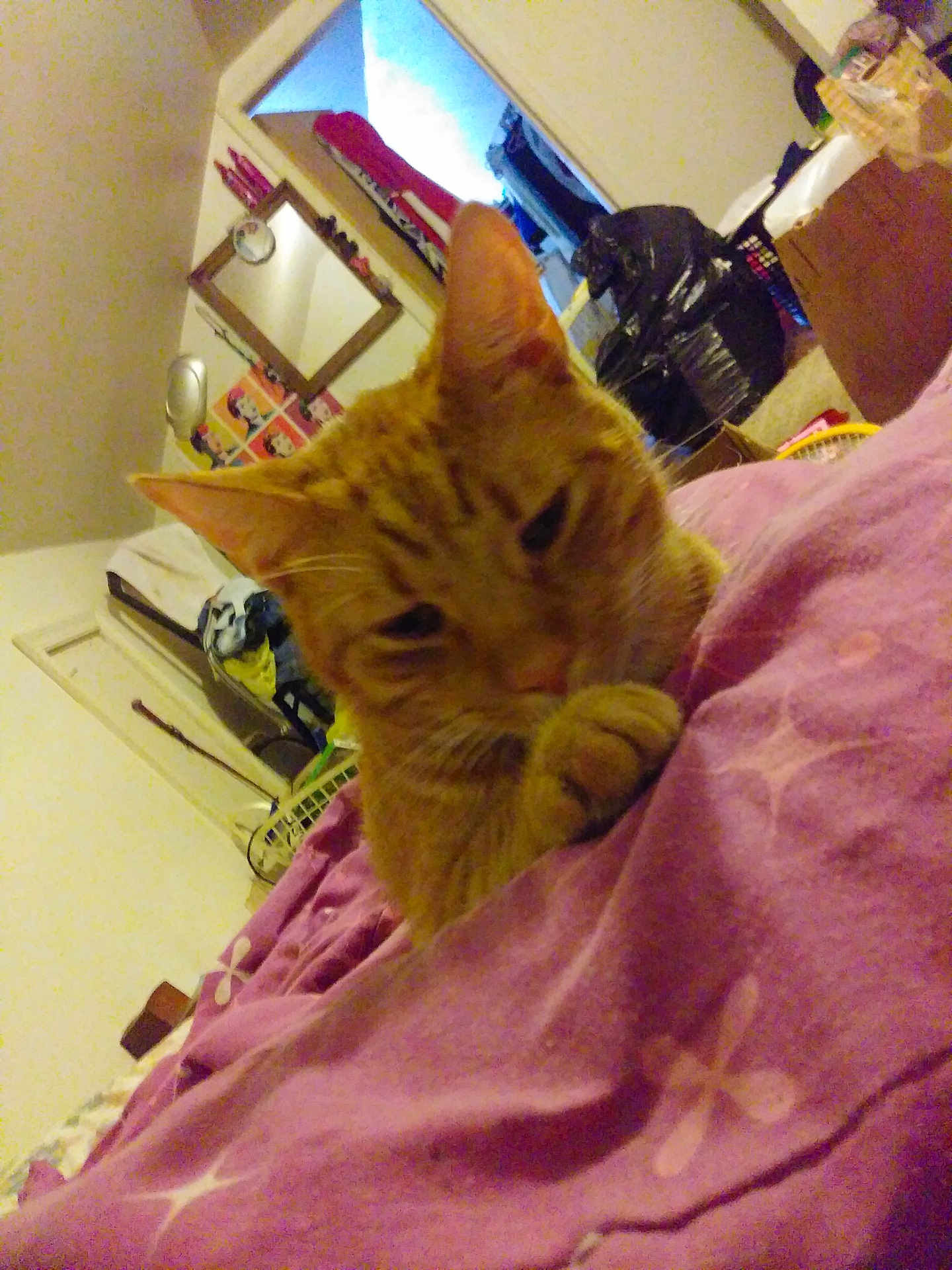 Leo
