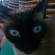 Minette participe au concours pour gagner de l'argent avec cette photo :