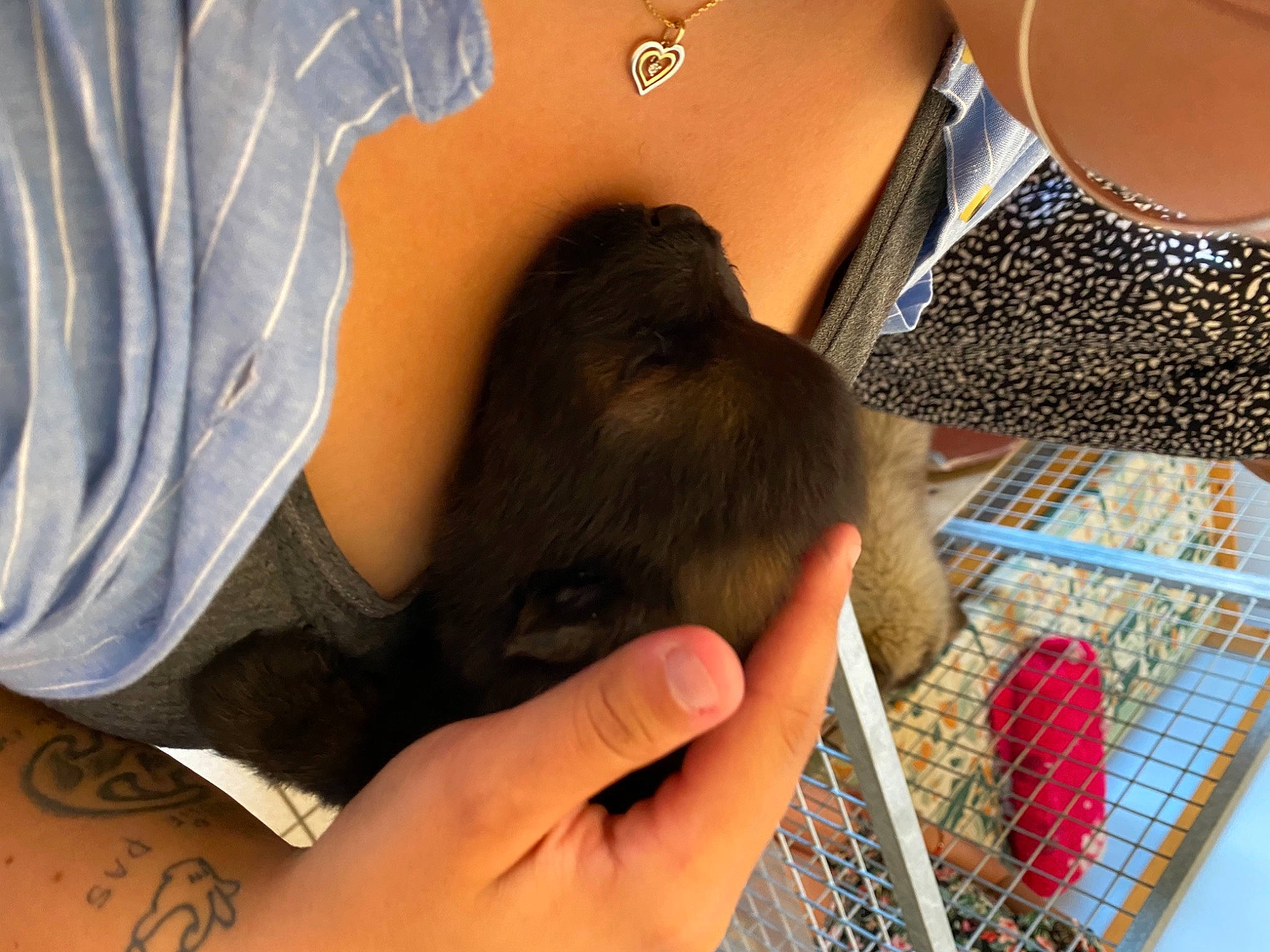 Réglys participe au concours pour gagner de l'argent avec cette photo : audio_equipment, comfort, elbow, eyewear, finger, floor, flooring, fun, gesture, human_leg, joint, leg, leisure, nail, pattern, room, textile, thigh, wood, wrist