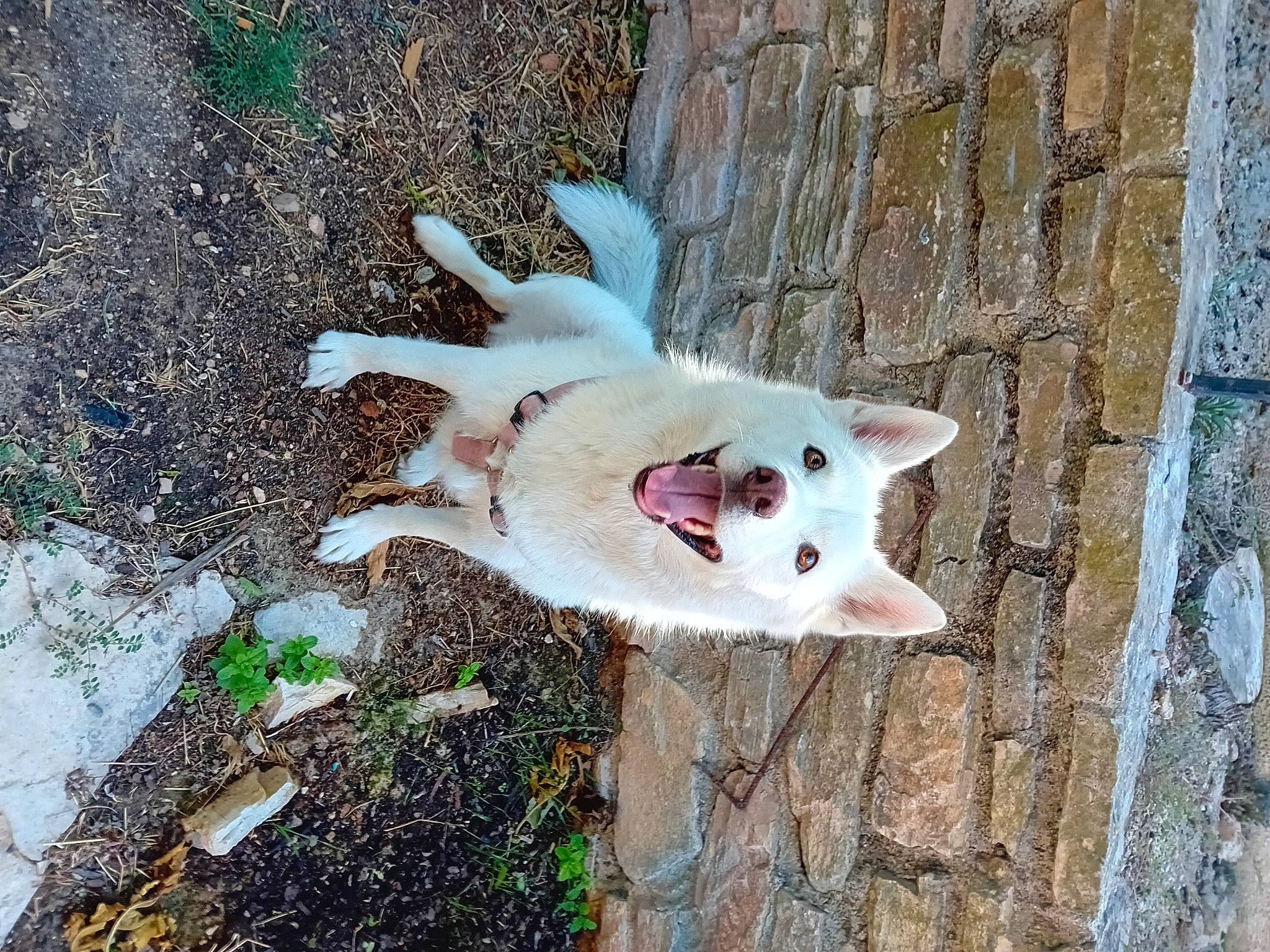 Aska