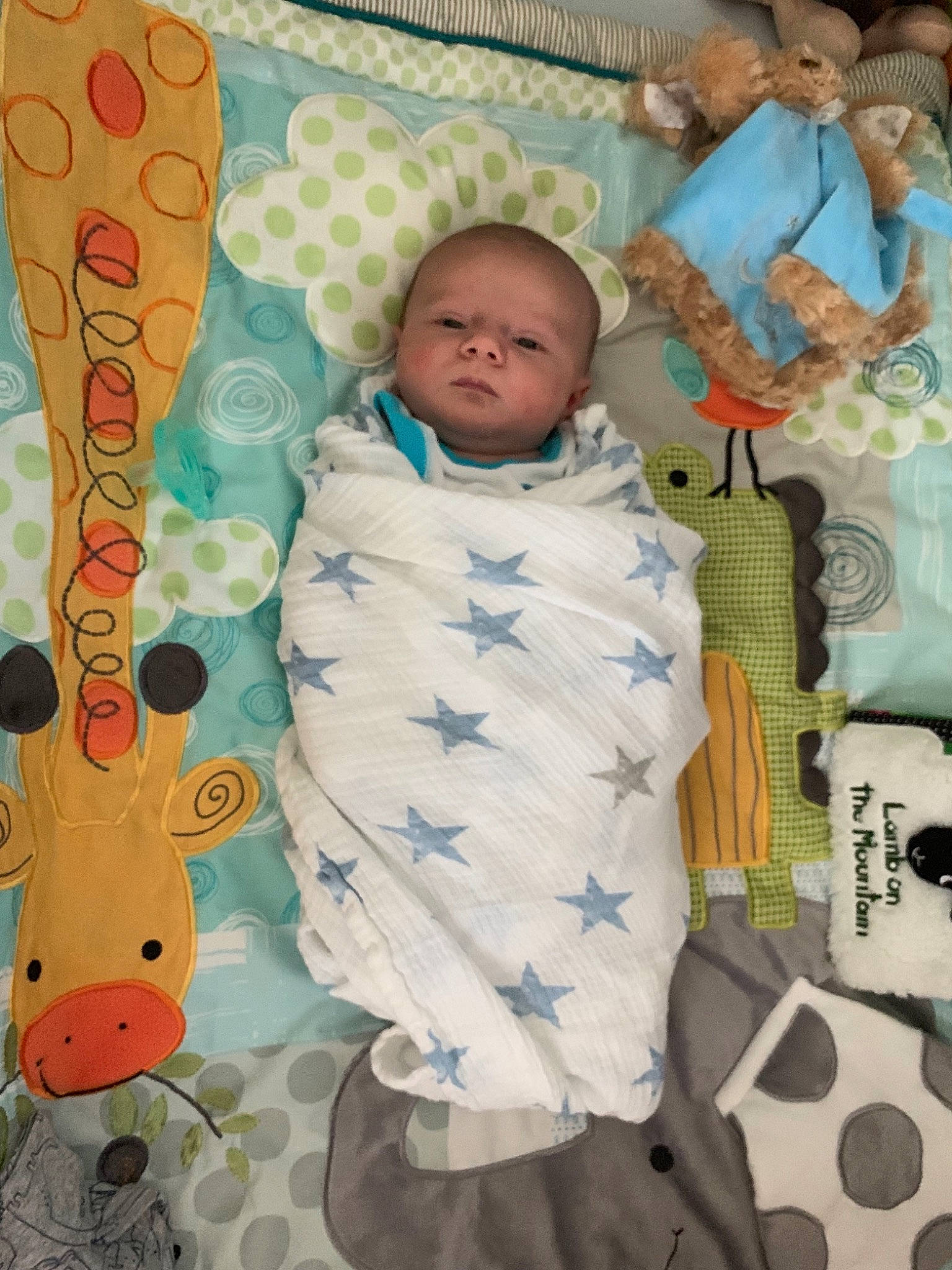 Crescenzo is registered to the contest to win money with this photo: art, baby, child, illustration, pattern, person, textile, toddler