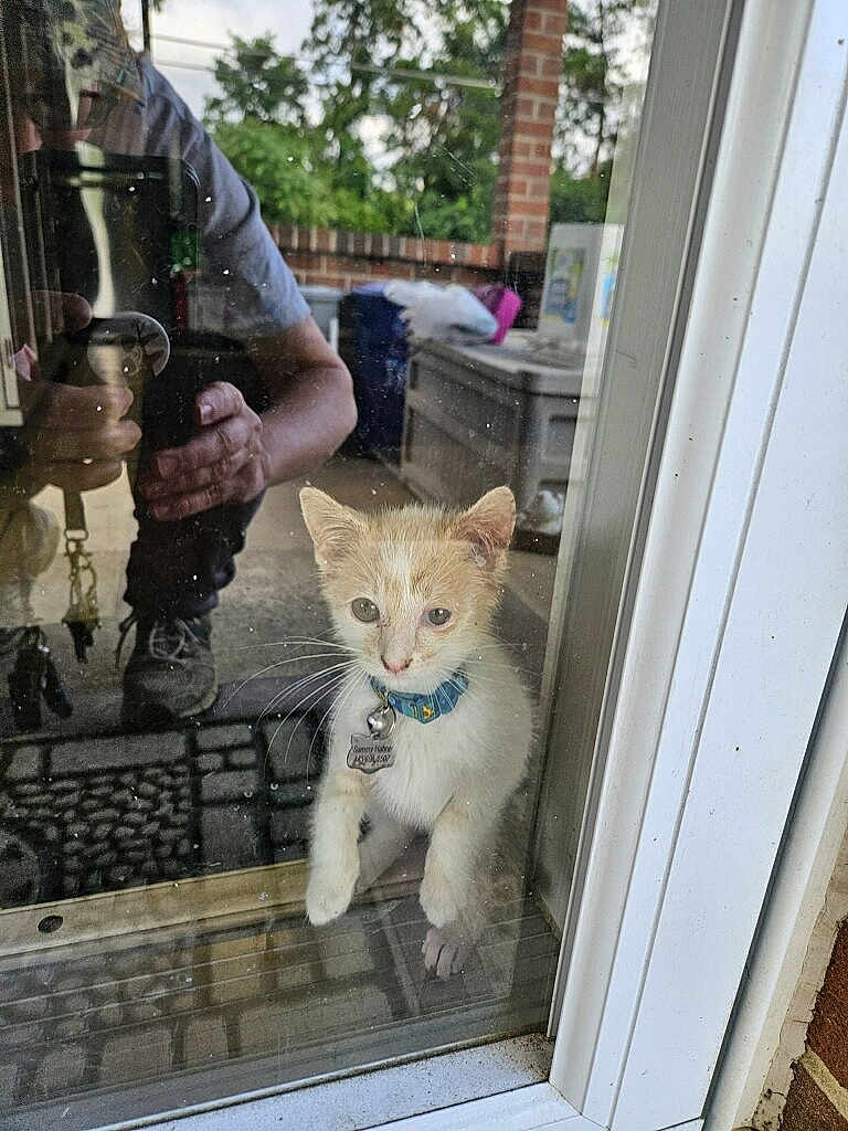 Sammy
