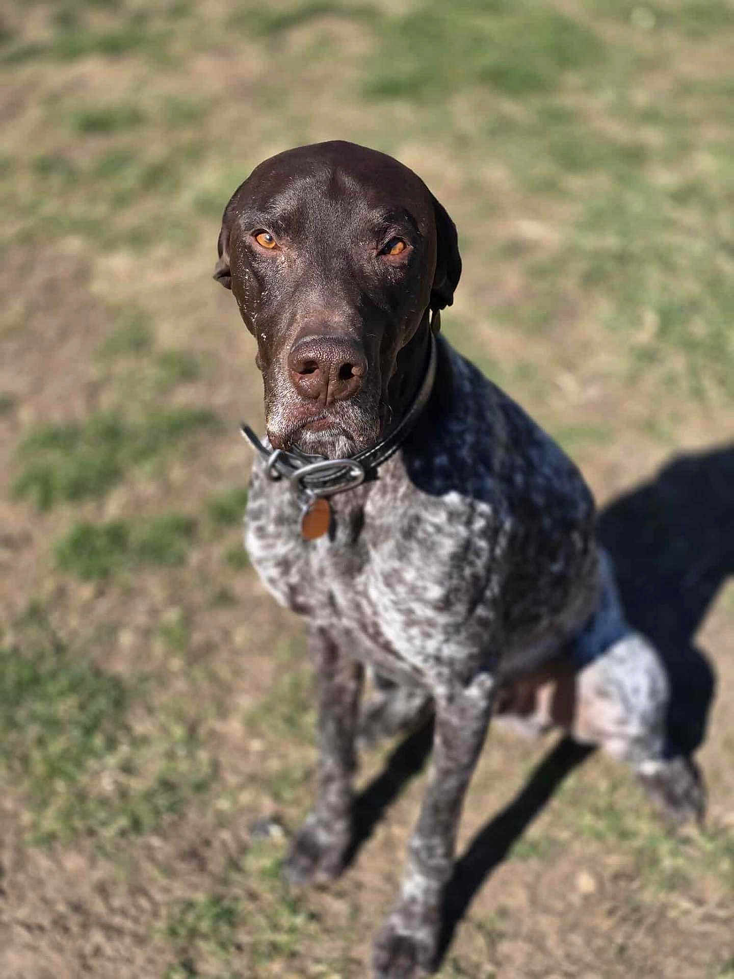 Hunter