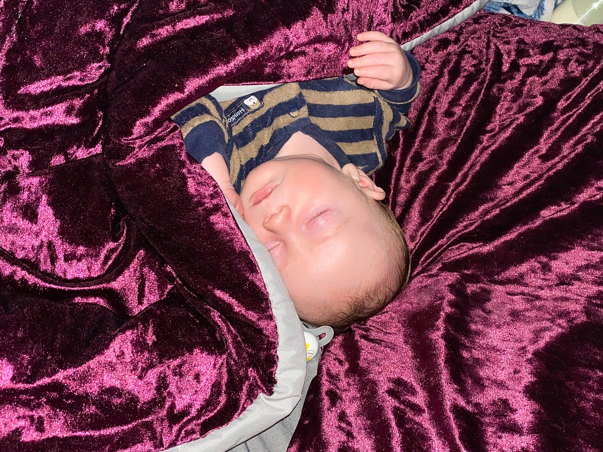 Riley Jr joined the competition — help win amazing prizes! carmine, comfort, fashion_accessory, flesh, fur, linens, magenta, pattern, person, pink, purple, sleeve, textile, tints_and_shades, violet, visual_arts, woven_fabric