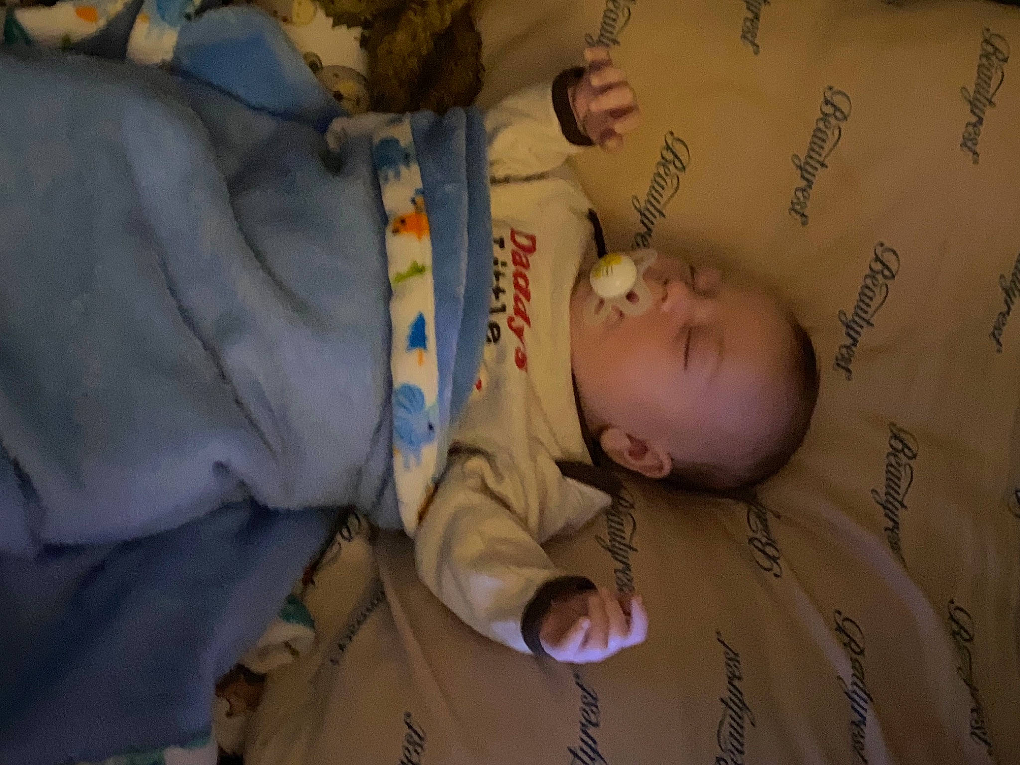 Riley Jr is registered to the contest to win money with this photo: baby, baby_products, baby_safety, baby_toddler_clothing, bedtime, child, comfort, face, facial_expression, head, infant_bed, linens, nap, person, room, skin, sleep, textile, toddler, tree