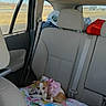 dog, puppy, car_interior, backseat, blanket, pink_bow, seatbelt, window, road, travel, pet, animal, small_dog, resting, fabric, colorful, vehicle, transport, seat, leather