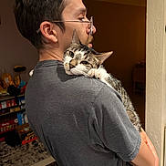 Monty joined the competition — help win amazing prizes! brown_fur, cat, doorway, feline, glasses, green_eyes, holding, home, indoors, kitchen, man, person, pet, portrait, profile, short_hair, shoulder, tabby, whiskers, white_fur
