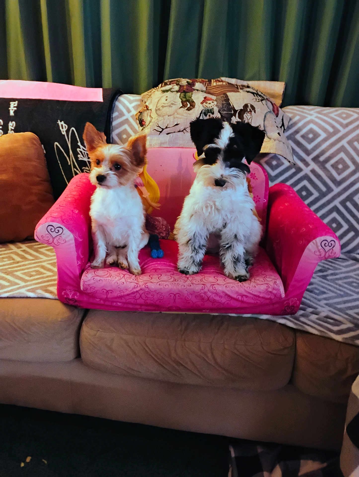 Molly And Mini