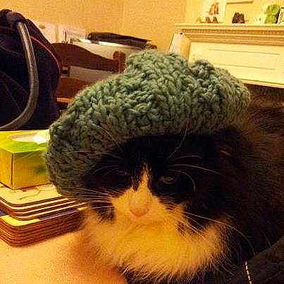 Thomas is registered to the contest to win money with this photo: