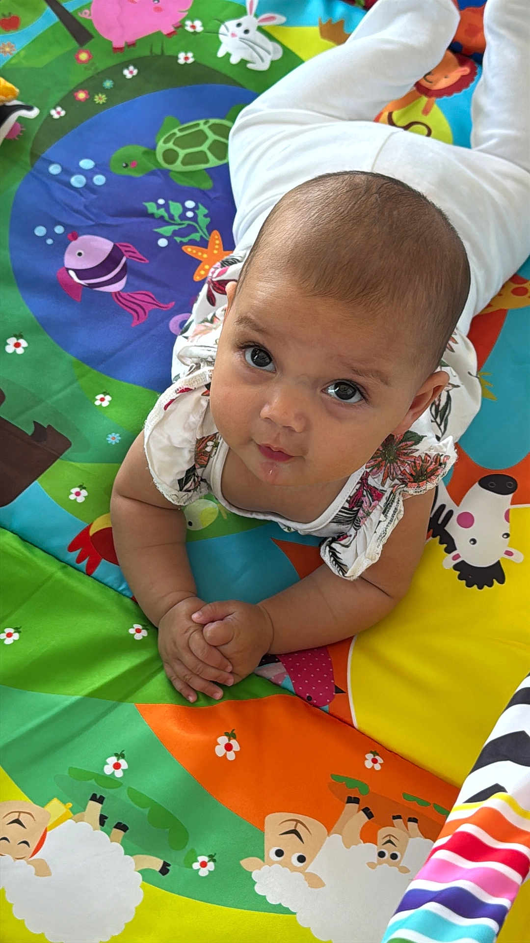 Léna participe au concours pour gagner de l'argent avec cette photo : baby, infant, child, play_mat, colorful, animal_prints, toddler, clothing, hands, face, looking_up, eyes, cute, indoor, floor, pattern, skin, expression, lying_down, young