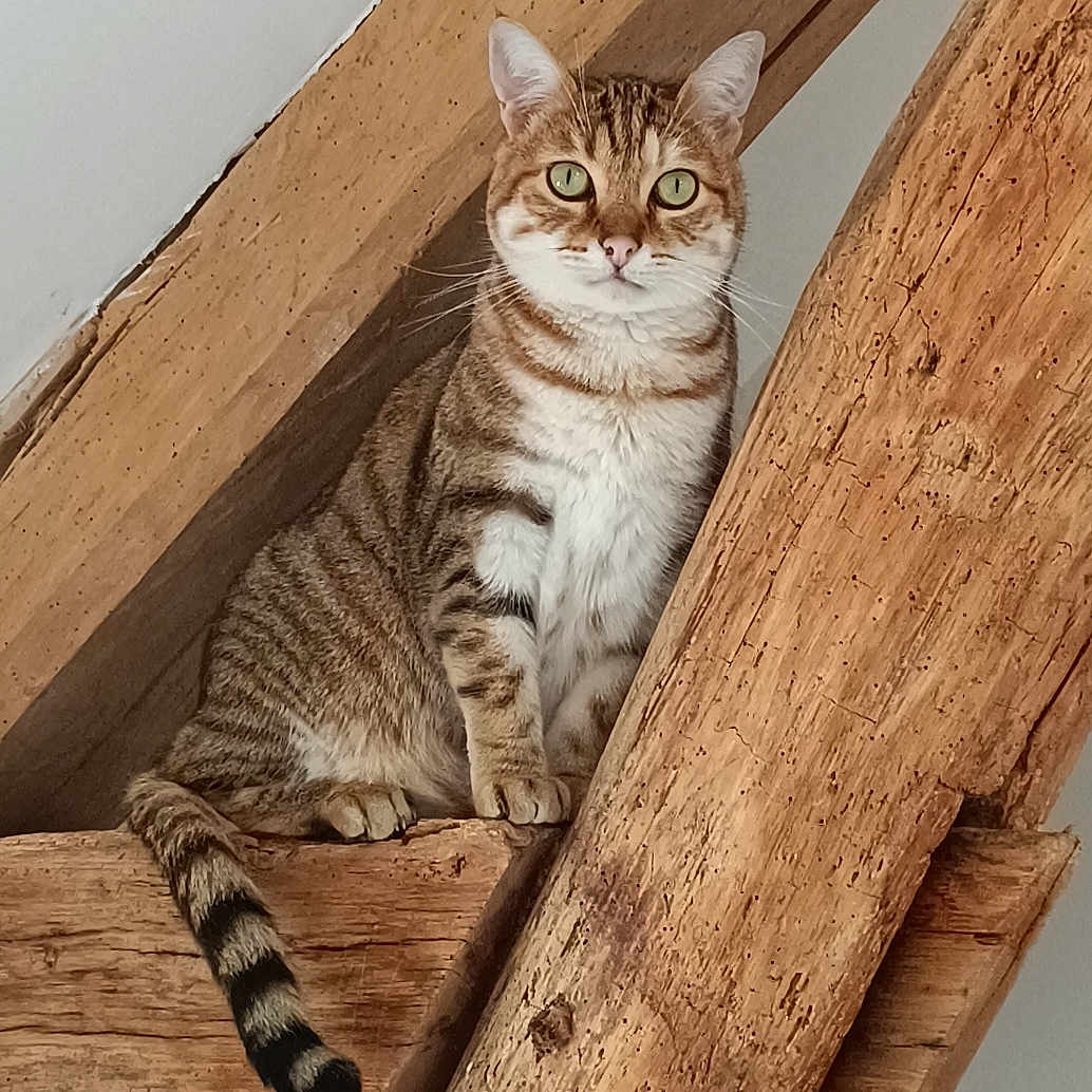 Winnie