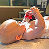 Sophia joined the competition — help win amazing prizes! baby, infant, child, diaper, toy, teether, hand, skin, face, head, lying_down, indoors, soft_light, sunlight, blurred_background, cute, small_hands, peaceful, closeup, chubby
