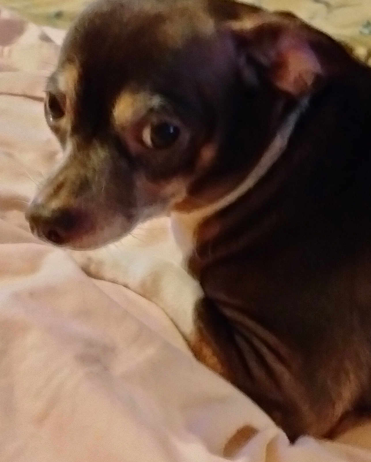 Minnie