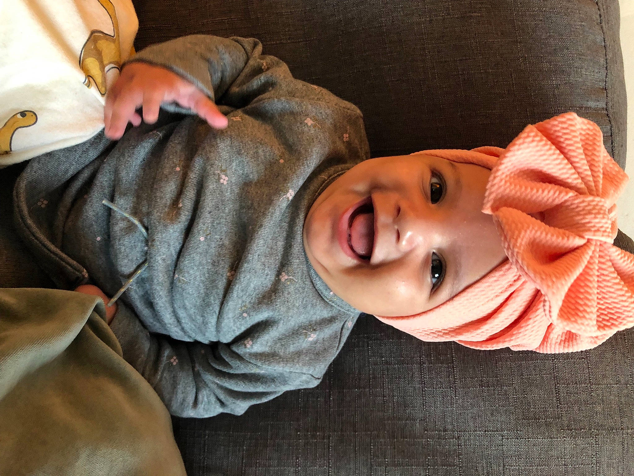 Delya participe au concours pour gagner de l'argent avec cette photo : baby, comfort, companion_dog, dog, dog_breed, eye, fun, happy, hat, headwear, mammal, mouth, nose, organ, person, skin, smile, toddler, tree, vertebrate