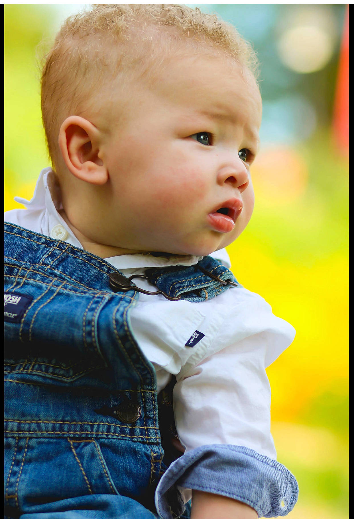 Justus joined the competition — help win amazing prizes! baby, blond, bow_tie, cheek, child, child_model, chin, eye, face, grass, head, neck, nose, people, person, photography, plant, skin, smile, toddler