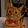 Tora