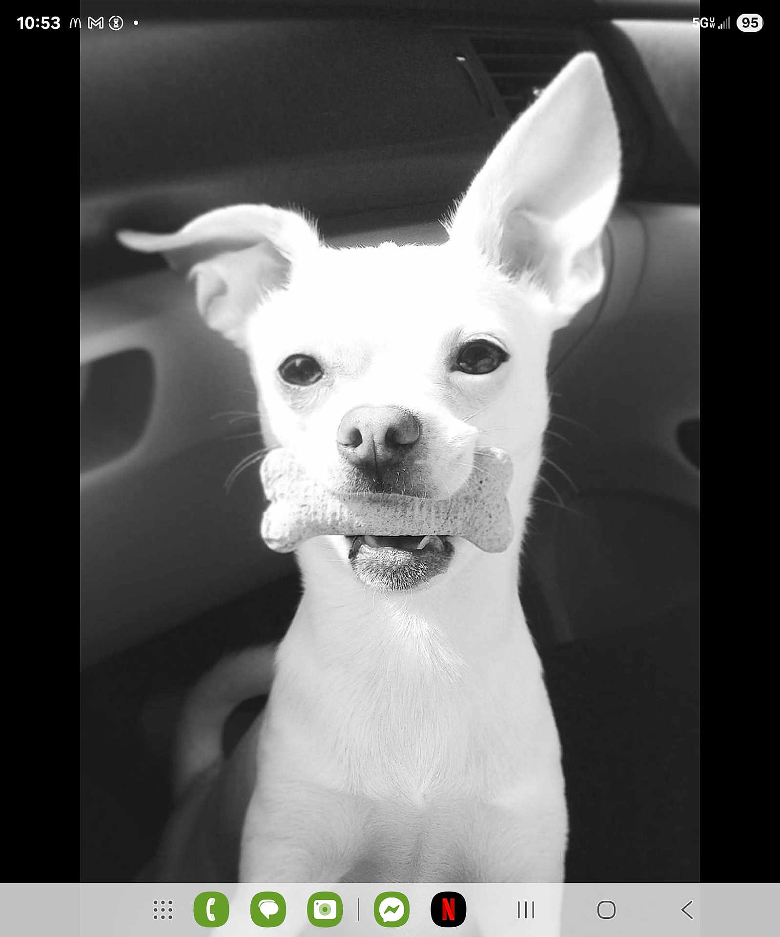 Jax