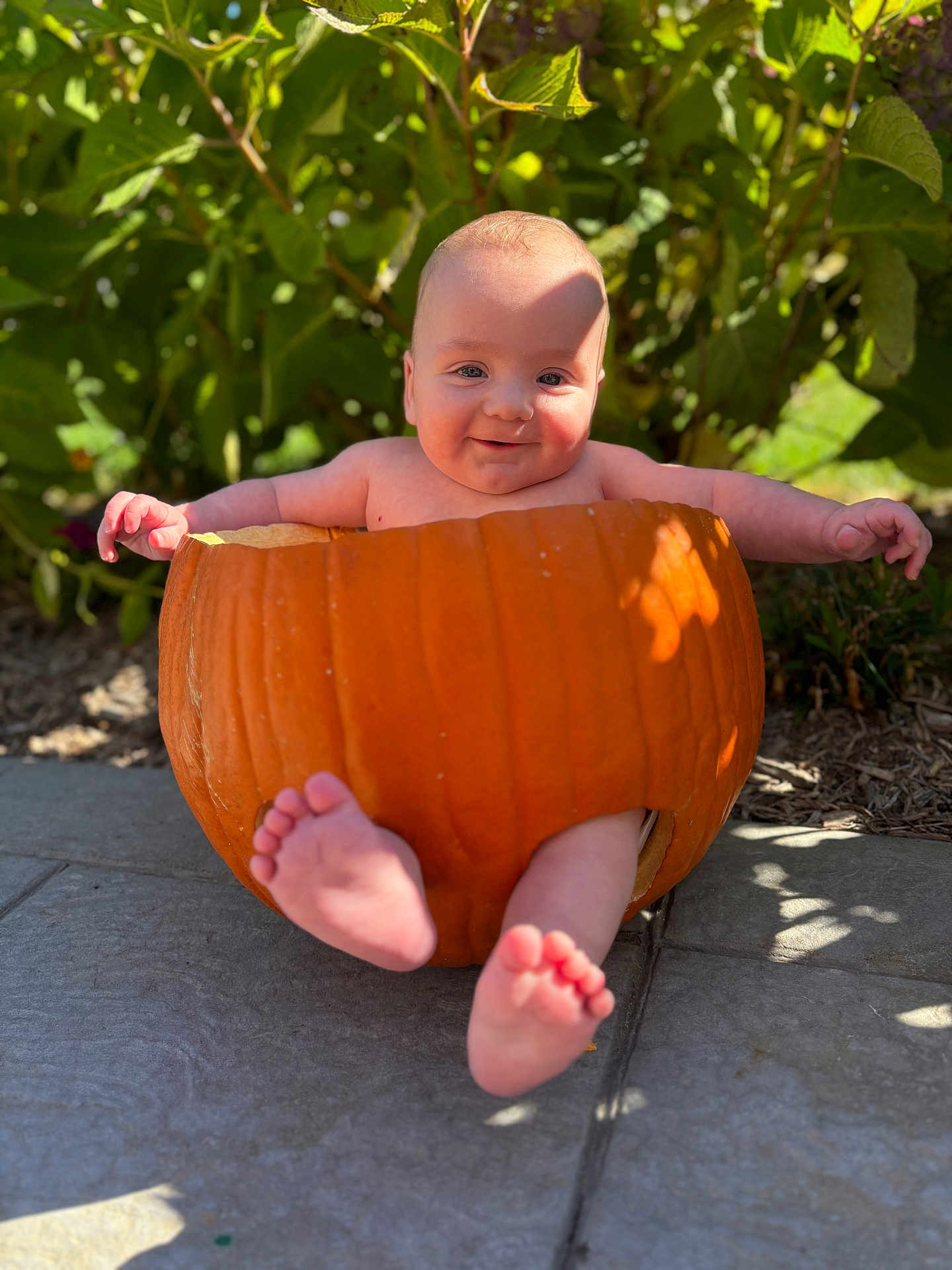 Joey is registered to the contest to win money with this photo: baby, pumpkin, outdoor, smiling, happy, child, nature, greenery, feet, arms, face, sunlight, foliage, plant, autumn, cute, infant, playful, holiday, seasonal