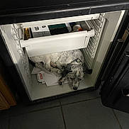 Checkers joined the competition — help win amazing prizes! black_and_white_dog, bottle, cabinet, collar, compact_space, confused, cozy, curious, dog, floor, household, indoor, mini_fridge, open_door, papers, puppy, resting, small_dog, tile_floor, unusual_spot